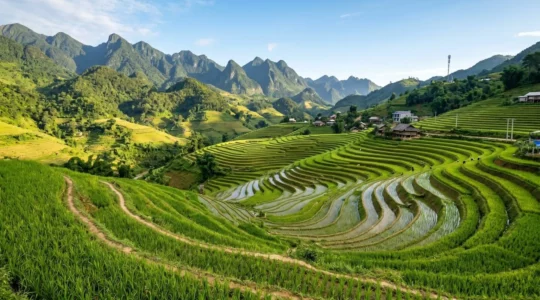 Vue panoramique des rizières en terrasse de Sapa au nord du Vietnam sous un ciel dégagé, avec des parcelles vertes étagées le long des pentes montagneuses à la lumière du matin